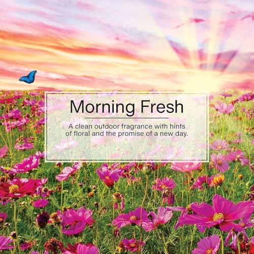 Image of LITTLE TREES Car Air Freshener | Hanging Paper Tree for Home or Car | Morning Fresh