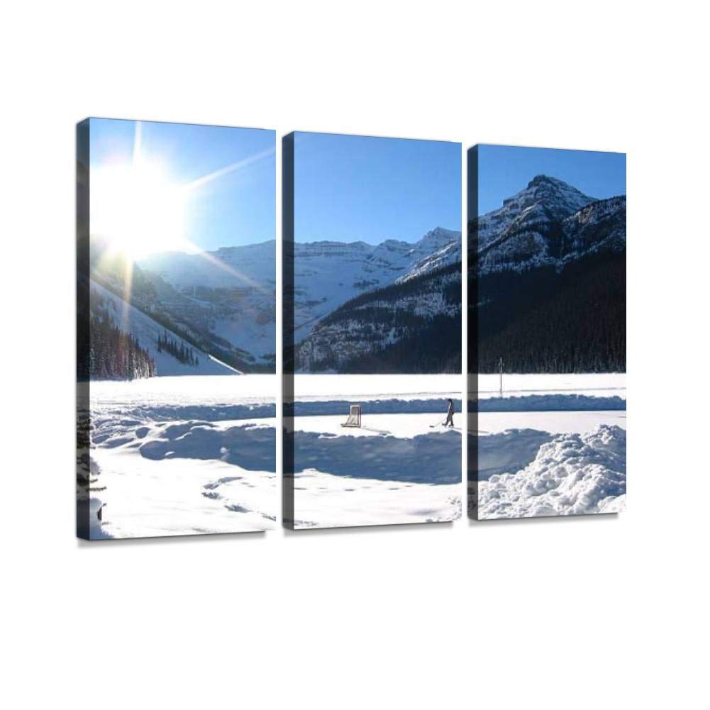 BELISIIS Hockey in The Mountains Wall Artwork Exclusive Photography Vintage Abstract Paintings Print on Canvas Home Decor Wall Art 3 Panels Framed Ready to Hang