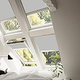 mit seitlichen Führungsschienen