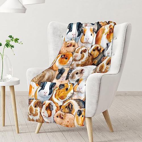 Guinea Pig Blanket Gifts - 30x40 Inches Cute Throw for Girls & Boys - Brown Soft Fuzzy Blankets for Couch & Office