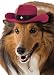 Rubie's Red Cowboy Hat for Dogs, M/L