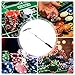 Generic Telescopic Roulette Poker Chip Rake Acrylic chip rake Metal dice Chips Rake Chip Stick Poker Chip Accessories Poker Chip Push Chips Harrow Collecter(39.5-70cm), Refer to description, Silver