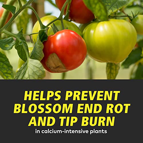General Hydroponics HGC733525 Calimagic 1-0-0, Concentrated Blend Of Calcium & Magnesium, Secondary Nutrient Deficiencies Helps Prevent Blossom End Rot & Tip Burn thumb #9