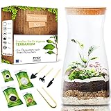 Anpassbar: Erstellen Sie Ihren eigenen Flaschengarten. Mit dem Terrarium Creation Set können Benutzer ihr Design und ihren Stil anpassen, um ihr eigenes Ökosystem im Glas zu schaffen. Es enthält eine Vielzahl von Steinen, Moos und anderen dekorativen Elementen, sodass Benutzer ein einzigartiges und personalisiertes Design erstellen können.