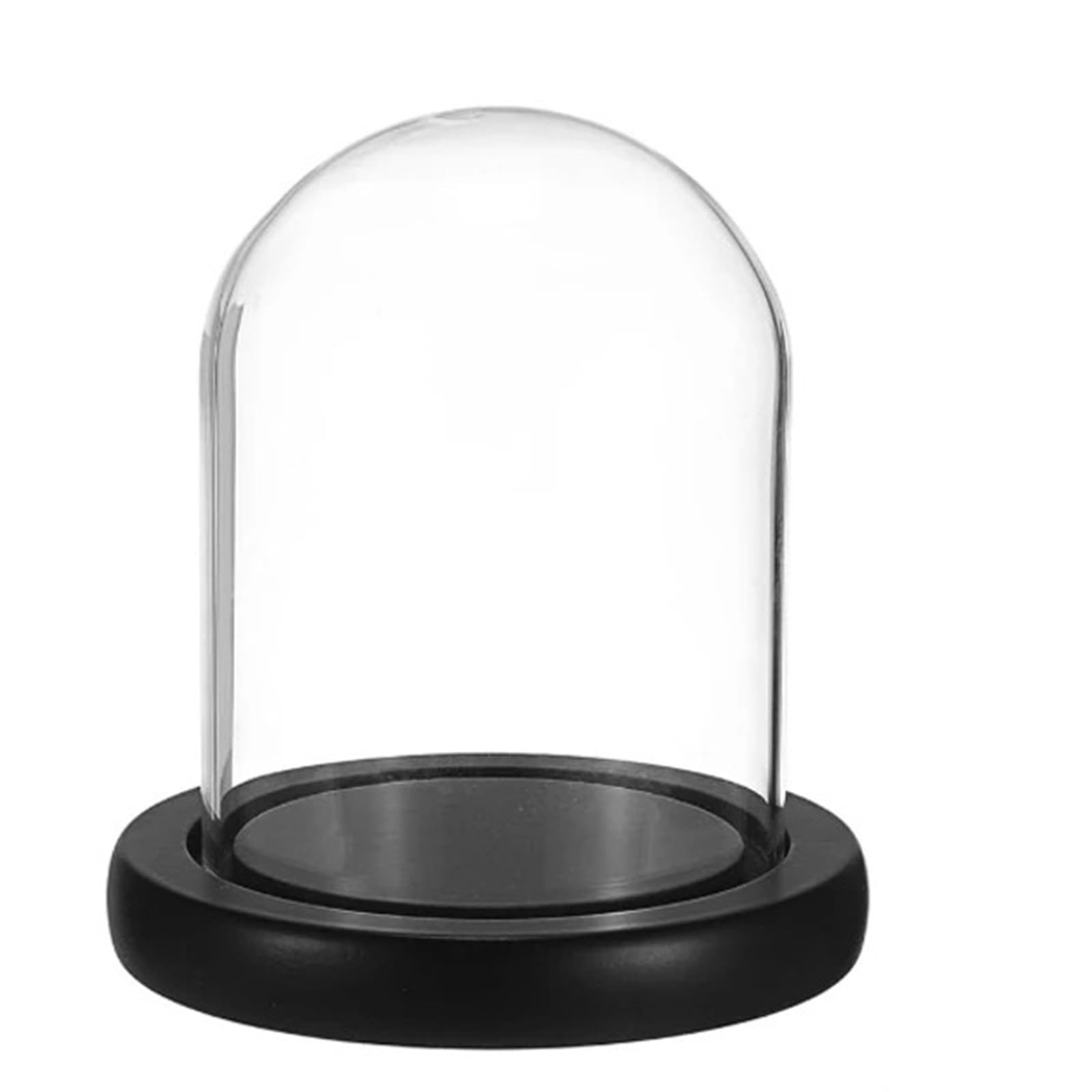 WYQXTY Clear Glass Cloche Display Glass Cloche Dome Transparent Multiple Sizes for Display(8x10)