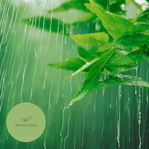 WHITE NOISE Rainfall for Sleep 12 HOURS | Natural Noises for Full Sleep Cycle cover art