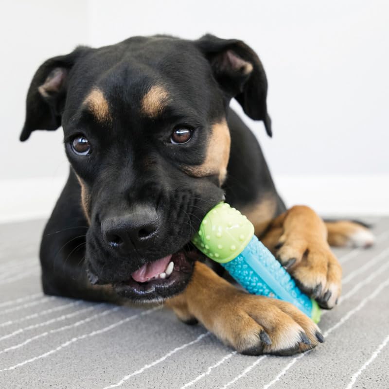 KONG CoreStrength Bone, Dog Dental Chew Toy, Durable, Multi-Layered Dog Toy with Textured Body for Teeth Cleaning - Image 4