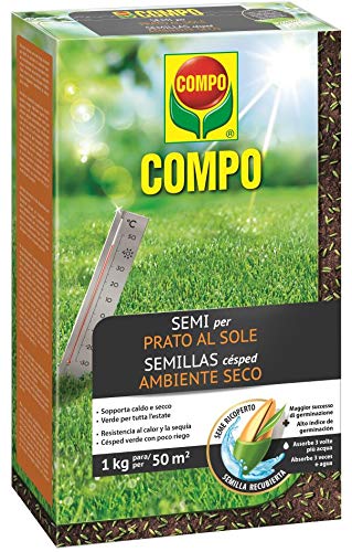 Semillas cesped resistente - Lo mejor de 2021 - Reseñas y ranking