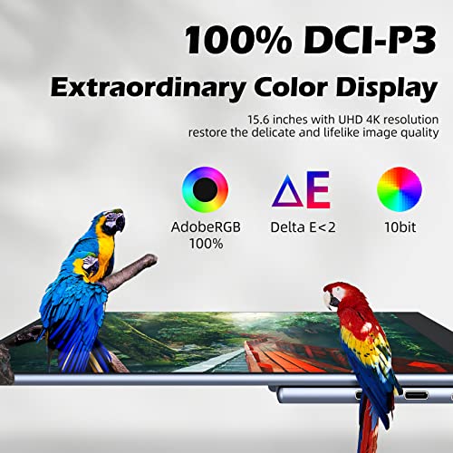 Oled Portable Monitor 4K Touchscreen 15.6 Inch Usb-C Uhd 3840X2160 Multi Touch Auto-Rotating Hdr Freesync Portable Display With Kickstand Dual Type-C Mini Hdmi For Laptop Pc Macbook Ps4 Xbox Switch #TOP1