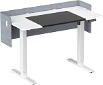 48 x 24 Inch Standing Desk + Privacy Panel&Leather Desk mat | Stable No Wobble Sit Stand Desk with Quiet Motor & Memory Presets,Height Adjustable 22-44",One-Piece Desktop,for Home Office