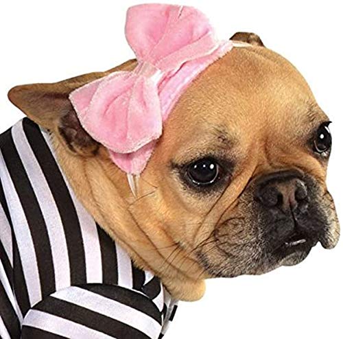 Rubies 50s Girl Pet Costume for Themed Parties and Halloween, As Shown, Medium