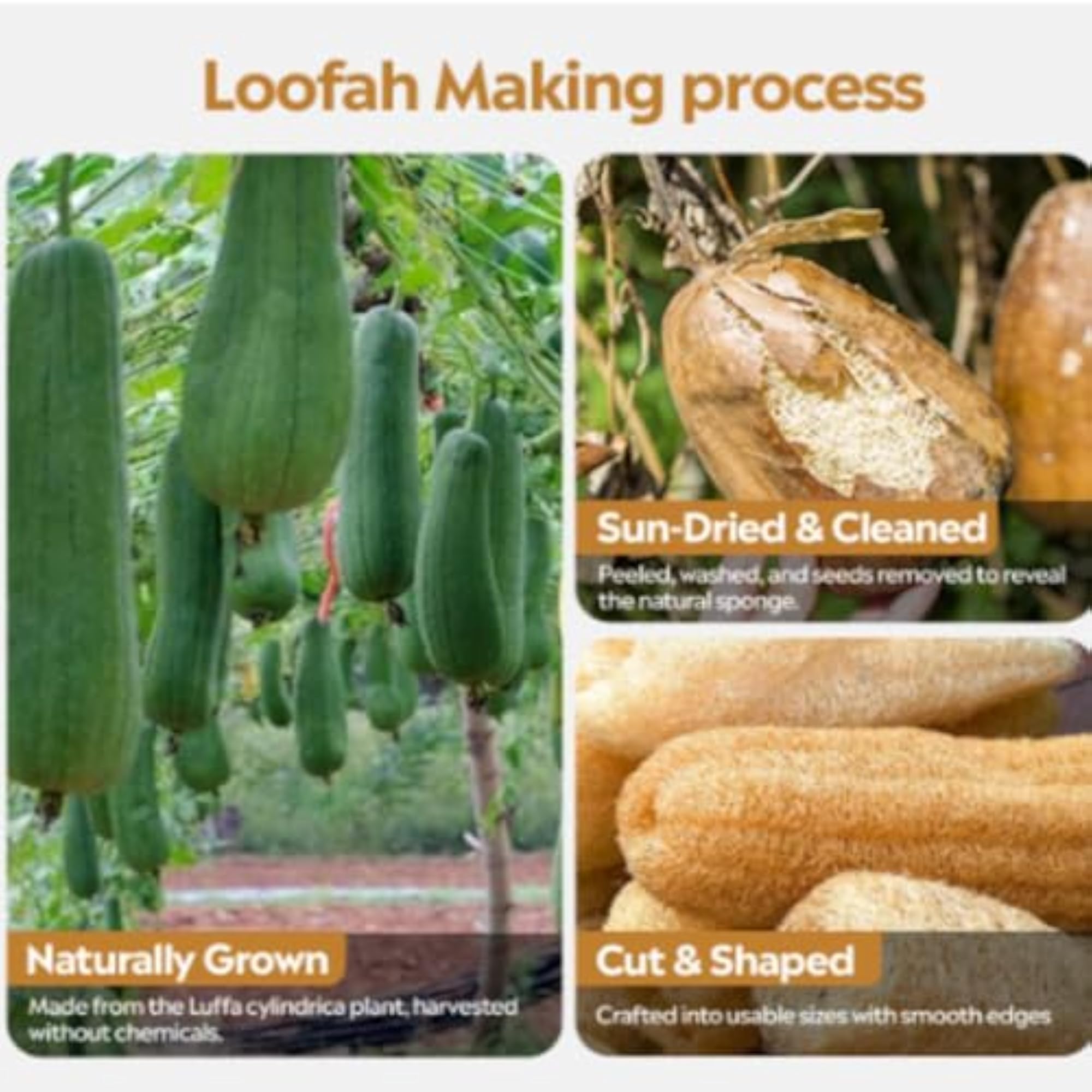 Natural Loofah Shower Scrubber, Skin Cleaning Sponge, 2 Pieces