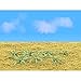 JTT Scenery Products Gardening Plants Ferns HO Scale Hobby Train Sceneries