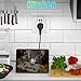 LENCENT Ladron Enchufes, Cargador USB de Pared con 1 Toma de CA...