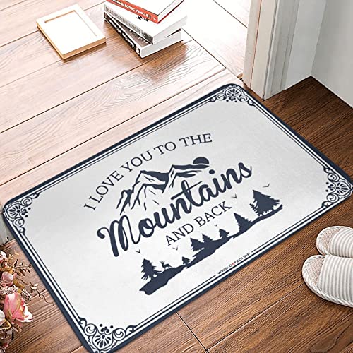 Tapis d'extérieur pour porte d'entrée antidérapant et robuste