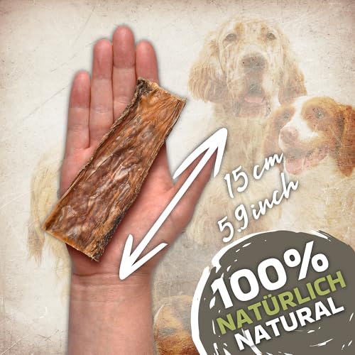 Rinderschlund Kausnacks für Hunde 1kg (ca. 43–48 Stück) | natürliche Rindfleisch-Leckerlis | Single Protein | ohne Rohhaut | proteinreich | Flache Streifen aus Rinderschlund