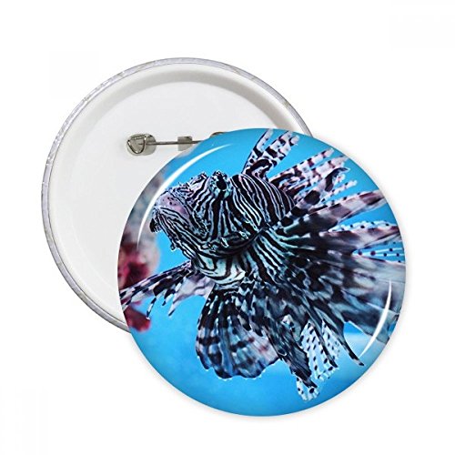 Badge Poisson Marine Organism Océan animal XXL multicolore bouton décoratif pour veste