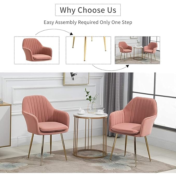 Image of Pink Velvet Chair for Home | Modern Accent Armchair in Soft Velvet Fabric with Golden Legs | Set of 2 Premium Accent Chair for Living Room Bedroom Restaurent | Pink, 2 pc (Pink)