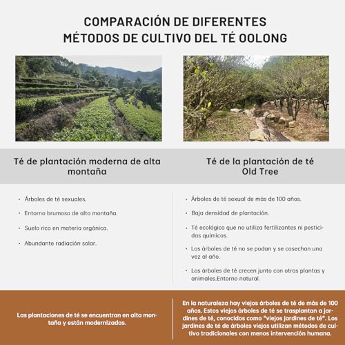 iTeaworld Chinesischer Tee mit losen Blättern – 4 Oolong-Tees mit losen Blättern, darunter Tieguanyin, Dahongpao, Fenghuang Dancong, Minnan Shuixian, 16 Packungen, insgesamt 56 g