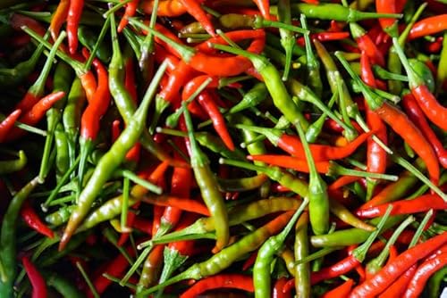 Fresh Thai Chile Peppers, 1 lb Bag, Mixed Red and Green, Whole Raw Chilis for Asian Cooking