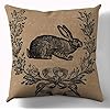 Decorative Farmhouse Pillow Cover 18 Inches x 18 Inches Rustic Style Vintage Rabbit Throw Pillow Cover Cover only