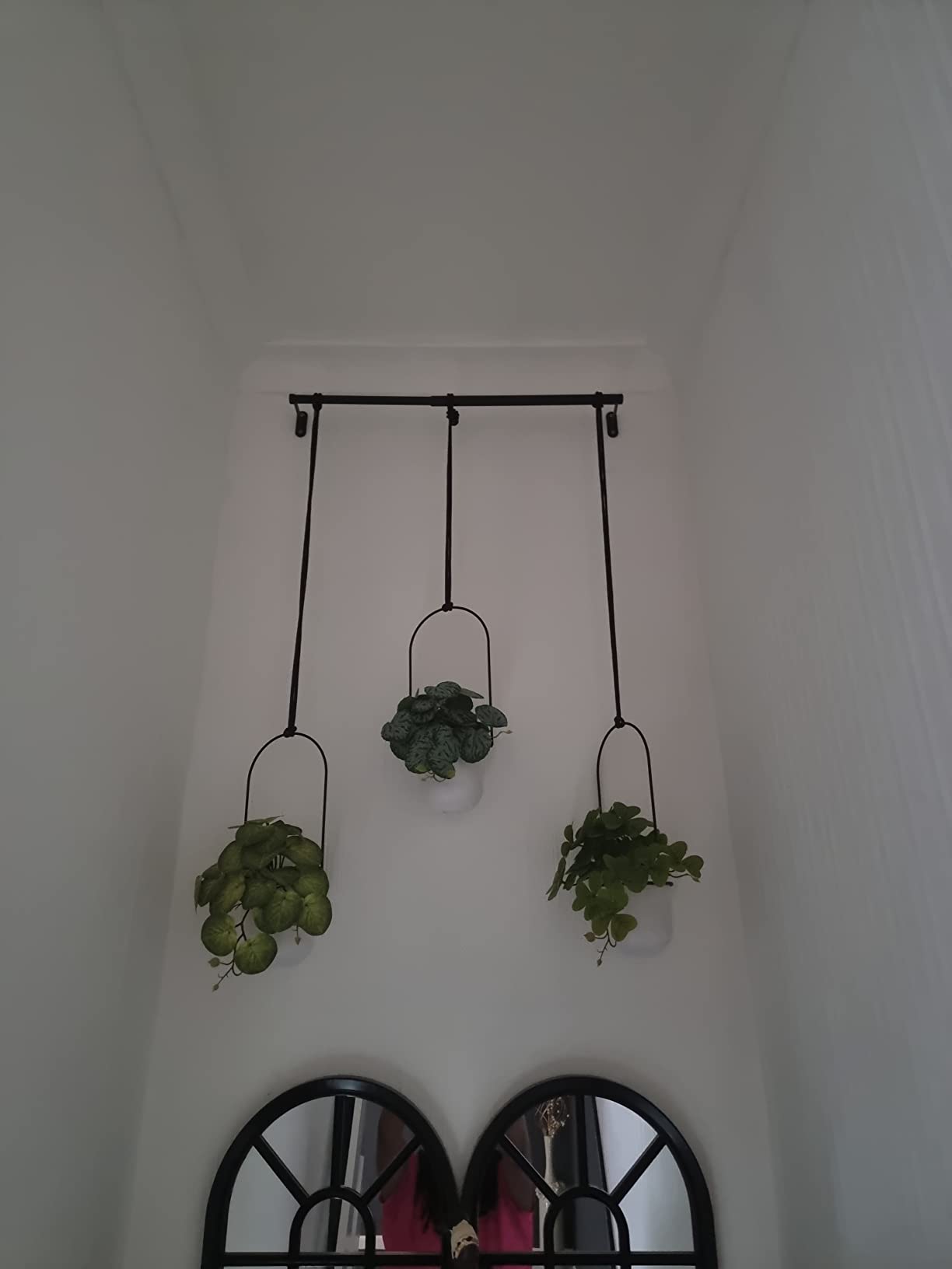 Customer photo