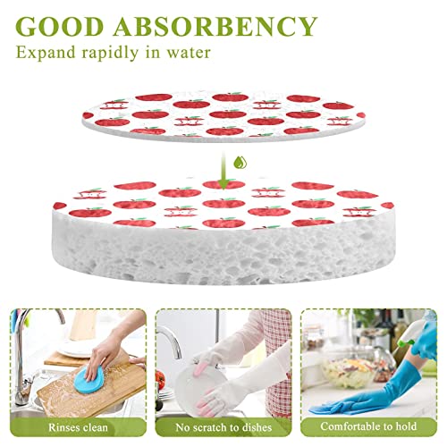 Image of susiyo Red Apples Fruits Sponges Kitchen Dish Sponge 3 Pcs Compressed Scrub Sponges for Washing Dishes