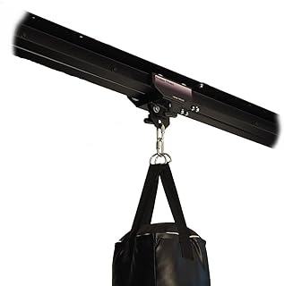 Firstlaw Fitness I-Beam Rolling Mount image