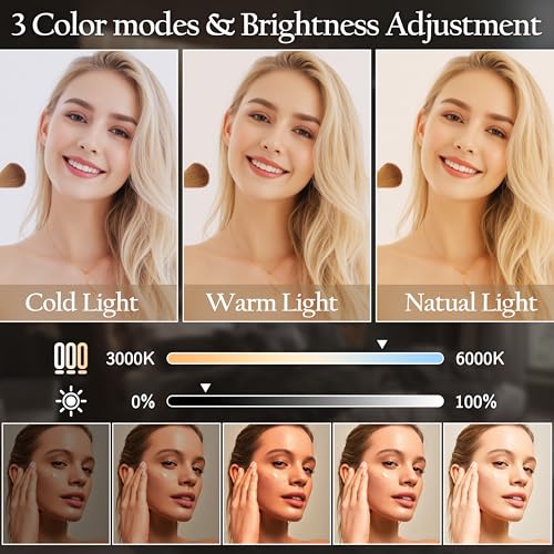 Image of ROLOVE Vanity Mirror with Lights 15 inchx12 inch, Lighted Makeup Mirror with 10X Magnification, 3 Color Lighting & Dimmable Brightness, Light Up Mirror for Desk, Bedroom, Bathroom
