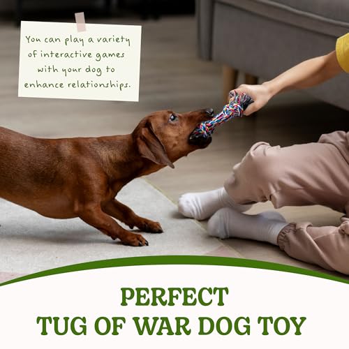 Image of 2 Pack Dog Rope Toy for Small Dogs, Durable Cotton Puppy Teething Toys | Puppy Chew Toys for Teething, Small Dog Toys for Aggressive Chewers, Interactive Tug of War Dog Toy for Puppies Boredom