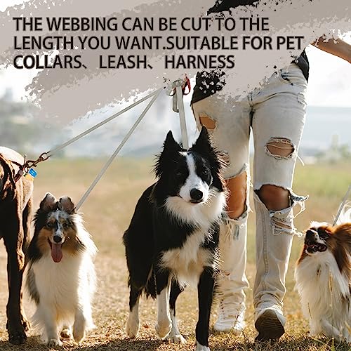 Image of Polyester Webbing Strap 16+Colors - 1 inch&1.5 inch&1.9 inch - 16.5 25 33 55 Yards Heavy Duty Webbing Roll, Flat Webbing Strap for Indoor&Outdoor Gear, Climbing, DIY Crafting, Repairing