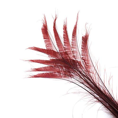 Zucker Feather (Tm) - Peacock Swords Bleached/Dyed - Burgundy #TOP1