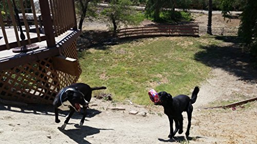 HurriK9 - Flying Ring Launcher for Dogs Extra Tough Ring Replacements - 3 Extra Tough Spandex Rings (Launcher Not Included) - Image 6