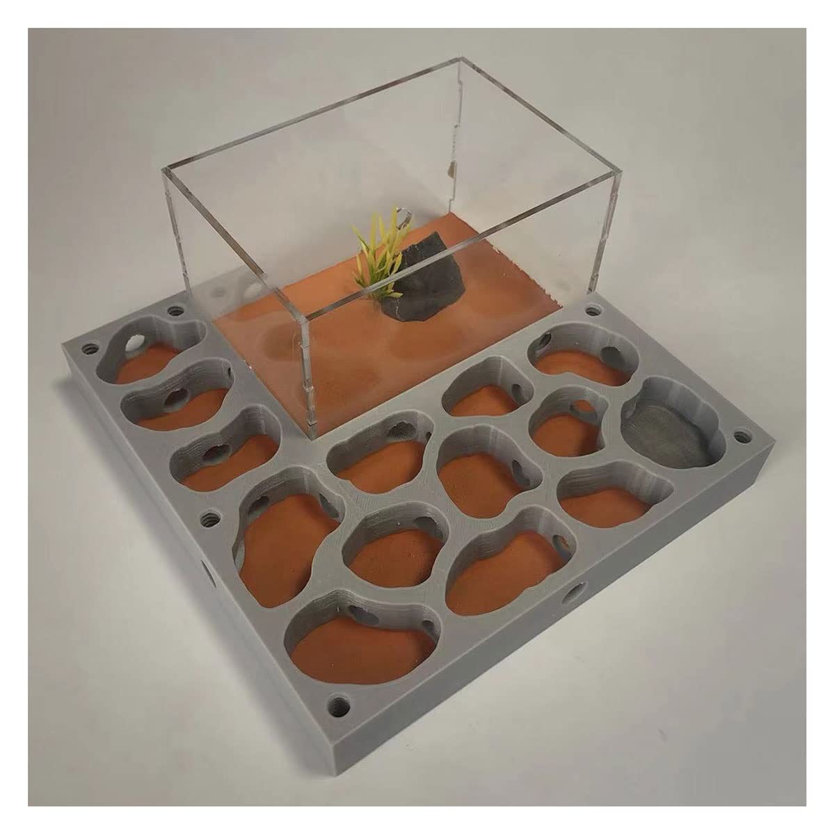 YKLL3D Flat Big Space Ant Farm Concrete Ant Nest Insect Cage Display Box Ant Habitat Workshop Feeding Nests Formicarium House Educational & Learning Science Kit Toy For Kids & Adults