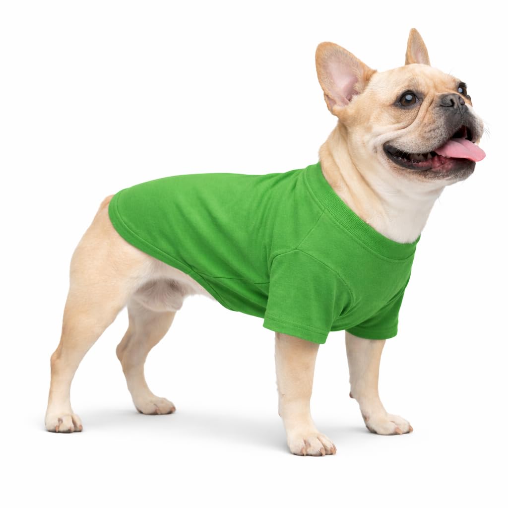 Vêtements pour chien doux et protecteurs Lovelonglong 100% coton vert
