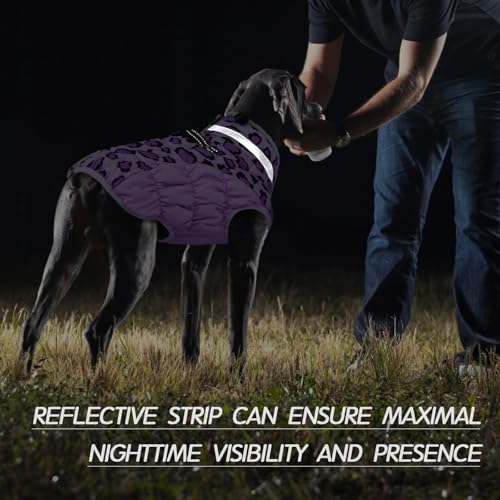 Kuoser Hundemantel Winter für kleine Hunde Wasserdicht & Winddicht, Warme Hundejacke mit Fleecefutter Reflektoren Reißverschluss, Pelzkragen & D-Ring – Outdoor Hundebekleidung, S