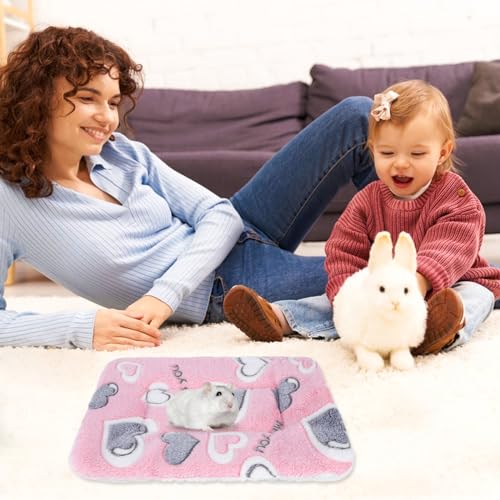 Gukasxi 2 Stück Plüschbett für Kleine Tiere, Kleintierbett Kleintier Plüschbett Winter Warm Flauschige Bettmatte für Meerschweinchen, Hamster, Kätzchen