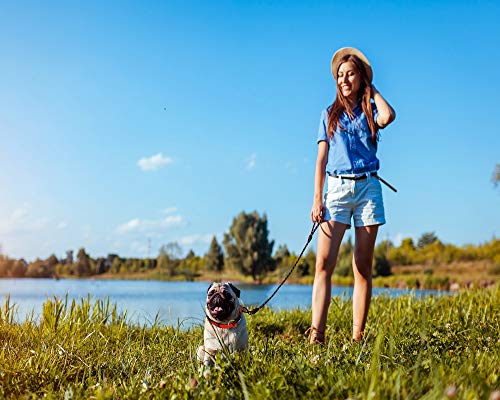 Kruz Reflective Dog Leash - KZROPE5060-02L - Soft Silicone Grip - Click & Lock Snap - Pet Walking, Running, Training - Heavy-Duty, Durable Rope - Security, Control and Comfort - Blue - 1/2" x 5 FT - Thumbnail 5