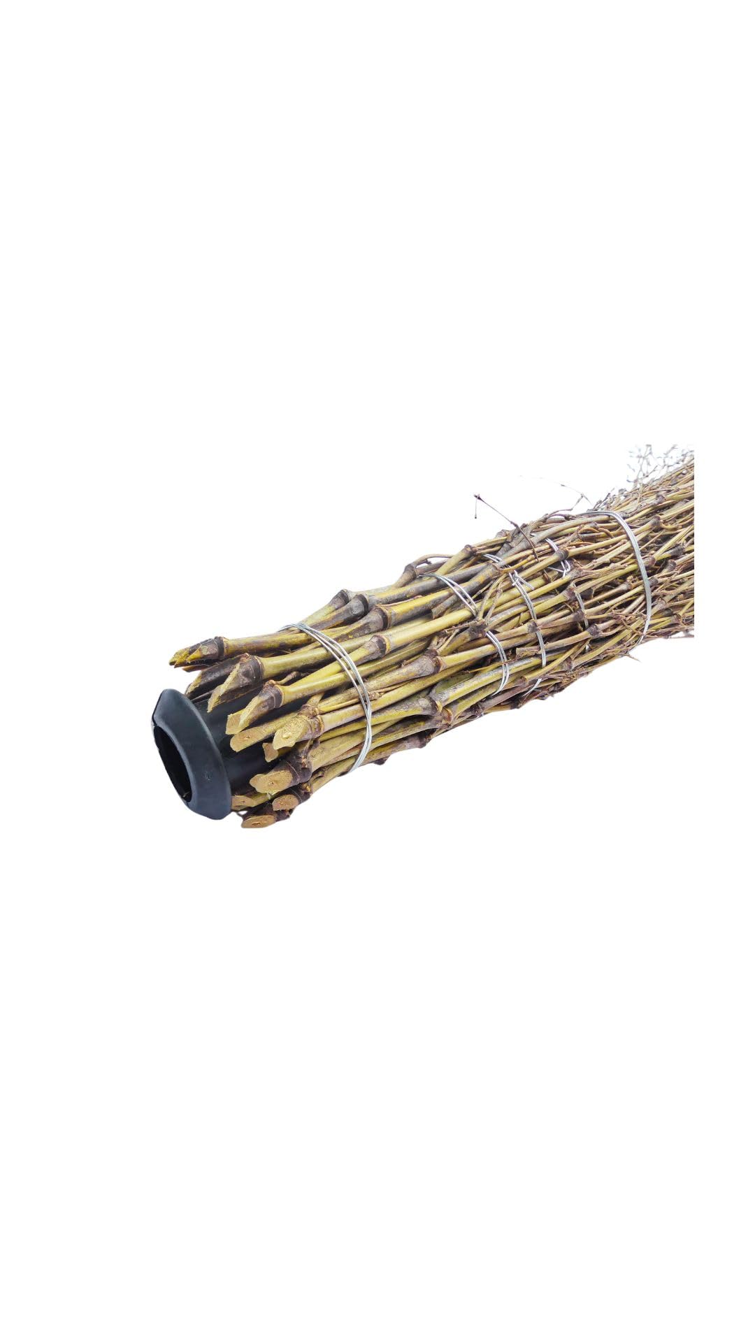 bambus australien Didgeridoo aus Bambus – Leichtgewicht mit warmem Naturton – Australian  Treasures