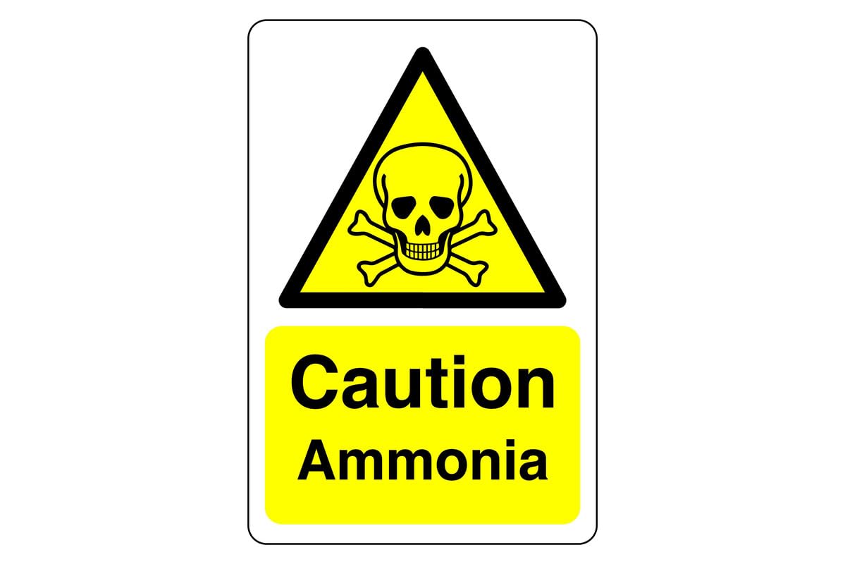 Safety First Display Ltd Yellow/Black Caution Ammonia Sign - 1.2Mm Rigid Plastic For Indoor/Outdoor Usage (300Mm X 200Mm) Viewing Distance Within 7M.