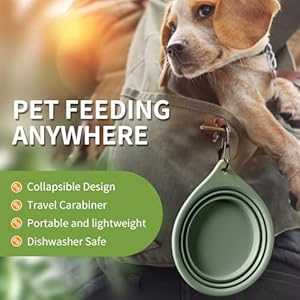 Collapsible Dog Bowls 2pcs for Puppy Bowl Portable Dog Bowl for Small to Medium Sized Dogs and Cats Travel Dog Bowl is Ideal for Traveling and Hiking Bpa Free  Cucciolini Doodles Collapsible dog bowls 2pcs for puppy bowl portable dog bowl for small to medium sized dogs and cats travel dog bowl is ideal for traveling and hiking bpa free   cucciolini doodles