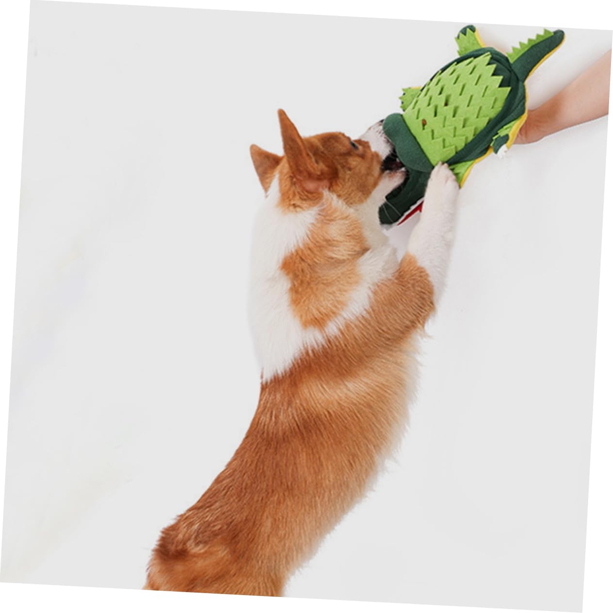 Juguetes Olor para Perros Juguete Molar De Peluche para Cachorros para Esconder Comida y Entrenamiento para Jugar Casa o Jardín
