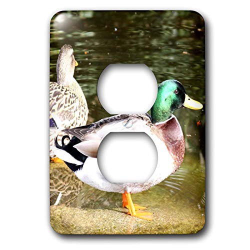 Capuchon de prise 2 canards cache-prise décoratif pour la maison - 2
