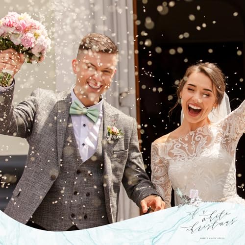 Pluvyze 1 Stück Fliege Grün Herren Grüne Fliege Herren