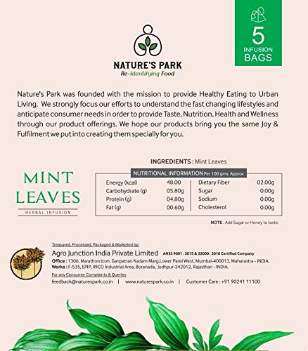 Image of Mint Herbal Infusion Pyramid Infusion TeaBags - 5