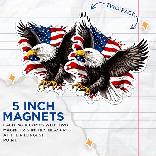 Pack 2 imanes decorativos USA 5 pulgadas miniatura 3