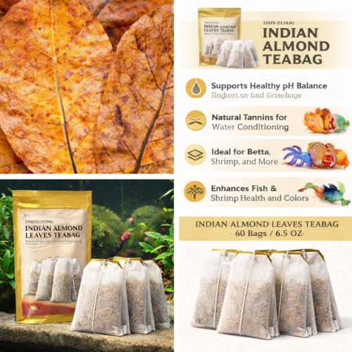 Image of Premium Indian Almond Leaf Tea Bag A+ Grade, 60 Teabags, Convenient for Collecting, Catappa Leaves Rich in Tannin. Awsome Aquarium Decorations (Tea Bag Powder).