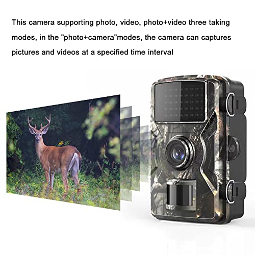 Tingpai 16MP 1080P Portátil Dia Noite Foto Vídeo Câme de Trilha Multifuncional Caça ao Ar Livre Câme
