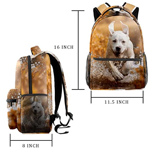 Mochilas ligeras de labrador para evitar dolor de espalda 2