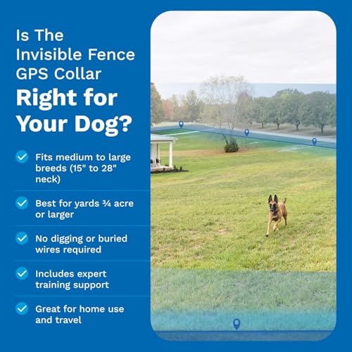 Invisible Fence GPS collar and flexible boundaries